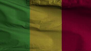 Mali vlag lus achtergrond 4k video