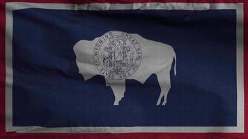 Wyoming estado bandera lazo antecedentes 4k video
