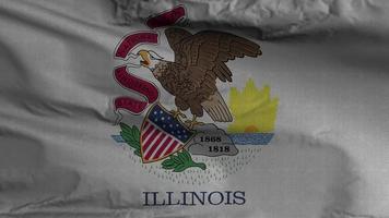 Illinois Estado bandeira ciclo fundo 4k video