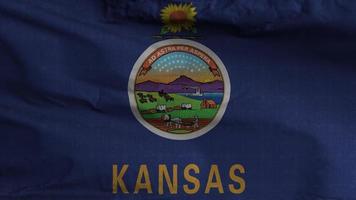 Kansas Zustand Flagge Schleife Hintergrund 4k video