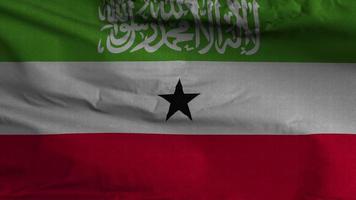 Somaliland drapeau boucle Contexte 4k video