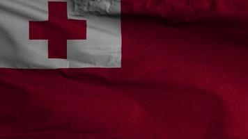 Tonga Flagge Schleife Hintergrund 4k video