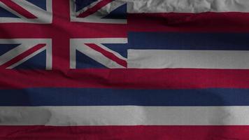 Hawaii Zustand Flagge Schleife Hintergrund 4k video