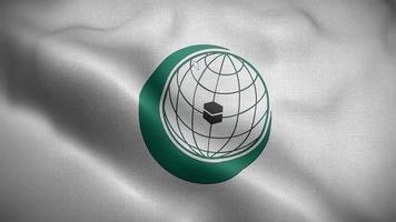 organisation de islamique la coopération oic drapeau boucle Contexte 4k video