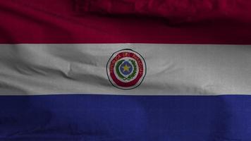 Paraguay Flag Loop Background 4K video