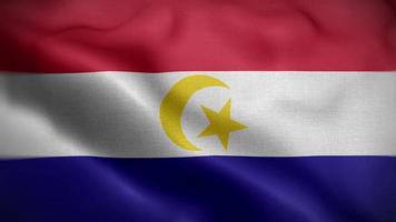 Johor Bahru Malaysia Flag Loop Background 4K video