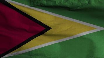 Guyana bandiera ciclo continuo sfondo 4k video