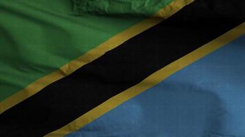 Tanzania Flag Loop Background 4K video