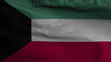 Koweit drapeau boucle Contexte 4k video