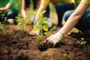 Planting trees for sustainable food production created with technology. photo