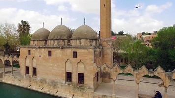 Drone shot of stone old mosque and lake next to it in historical city, old houses and mosque built with stones with different architecture and beautiful view, Sanliurfa video