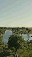 Aerial view of river running through green rural landscape video