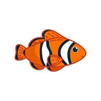 Clownfish in white background. Vector illustration in cartoon style