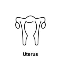 Uterus, organ vector icon illustration