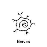 Nerves, organ vector icon illustration