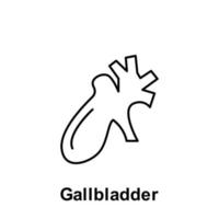 Gallbladder, organ vector icon illustration