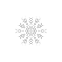 Snowflake, snow, winter vector icon illustration