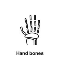 Hand bones, organ vector icon illustration