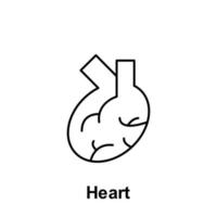 Heart, organ vector icon illustration