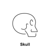 Skull, organ vector icon illustration