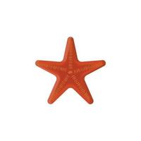 starfish colored vector icon illustration