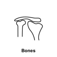 huesos, Organo vector icono ilustración