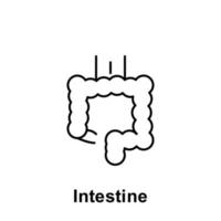 Intestine, organ vector icon illustration