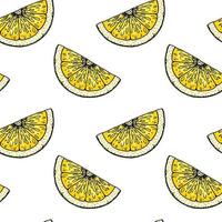 Lemon slice seamless pattern. Colorful hand drawn vector illustration in sketch style. Tropical exotic citrus fruit summer background