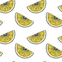 Lemon slice seamless pattern. Colorful hand drawn vector illustration in sketch style. Tropical exotic citrus fruit summer background