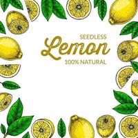 Lemon square background. Colorful vector illustration in sketch style. Design can be used for packaging, social media post, prints, cards, decoration