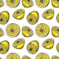 Lemon slice seamless pattern. Colorful hand drawn vector illustration in sketch style. Tropical exotic citrus fruit summer background