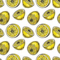 Lemon slice seamless pattern. Colorful hand drawn vector illustration in sketch style. Tropical exotic citrus fruit summer background