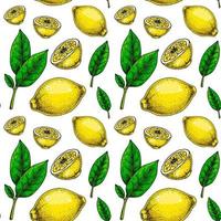 Lemon seamless pattern. Colorful hand drawn vector illustration in sketch style. Tropical exotic citrus fruit summer background