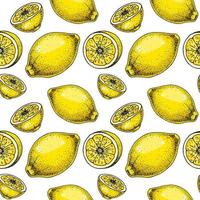 Lemon slice seamless pattern. Colorful hand drawn vector illustration in sketch style. Tropical exotic citrus fruit summer background