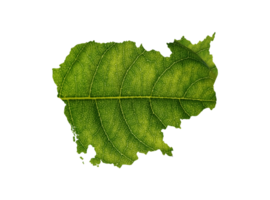 Cambodia map made of green leaves ecology concept png