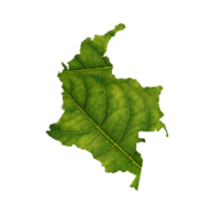 Colombia map made of green leaves ecology concept png