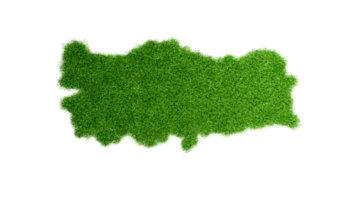 dettagliato tacchino carta geografica con verde erba 3d illustrazione png