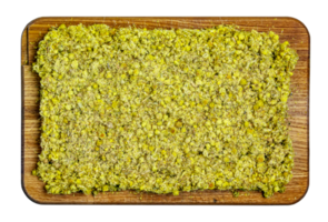 Background of medicinal plant Helichrysum arenarium. Top view. Yellow dry flowers. png