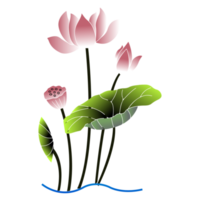 A lotus flowers and green leaves png