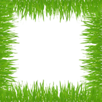 verde erba telaio png