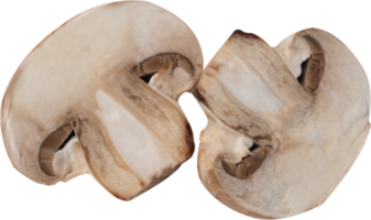 cremini mushroom cut out on transparent background. png