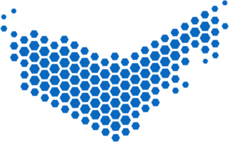 hexagone forme Émirats arabes unis carte. png