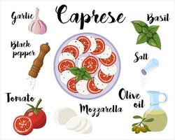 kitchen poster with caprese salad recipe. Vector illustration on a white background.