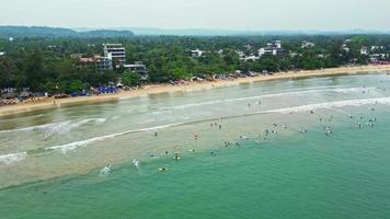 surfers su weligama spiaggia, sri lanka di drone. spiaggia linea quasi alberghi video