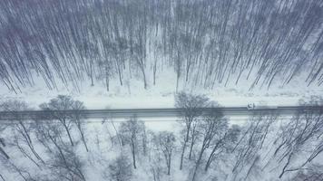 top visie van verkeer Aan een weg omringd door winter Woud. toneel- winter landschap video