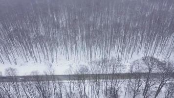 top visie van verkeer Aan een weg omringd door winter Woud. toneel- winter landschap video