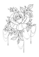 Hand drawn rose flower vector illustration