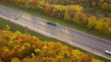 Visualizza a partire dal il altezza su un' luminosa autunno foresta come un' sfondo video