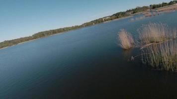 Fast and agile flight over the lake with a pair of white swans. Filmed on FPV drone video