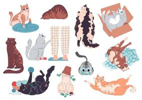 Set of cute and funny cats Vector illustration.